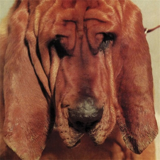 Ty Segall ‎– Goodbye Bread LP