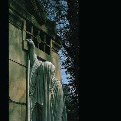 Dead Can Dance – Within the Realm of a Dying Sun LP
