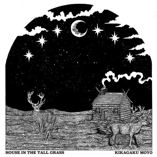 Kikagaku Moyo ‎– House In The Tall Grass LP