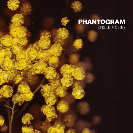 Phantogram ‎– Eyelid Movies LP