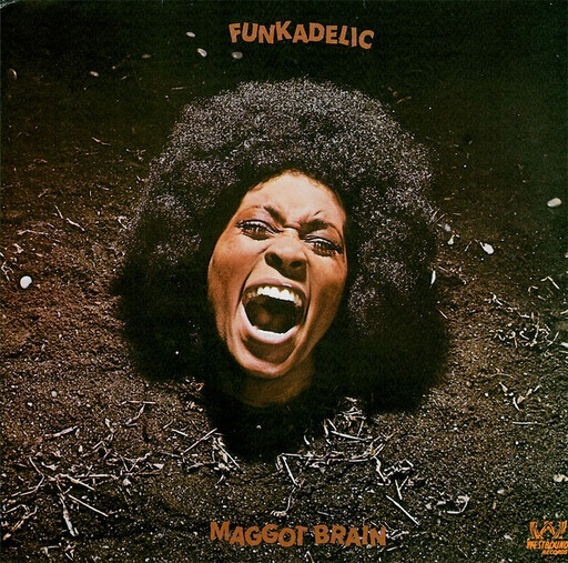 Funkadelic ‎– Maggot Brain LP import version