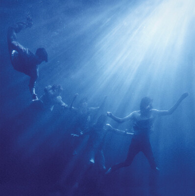 Foals ‎– Total Life Forever LP