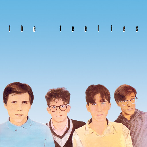 Feelies – Crazy Rhythms LP