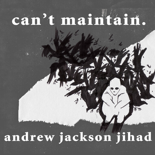 Andrew Jackson Jihad ‎– Can’t Maintain. LP colored