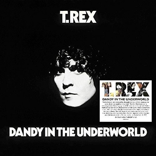 T. Rex -- Dandy In The Underworld LP