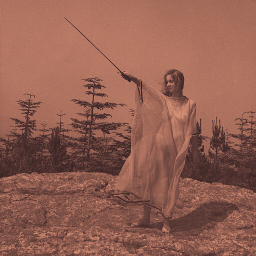 Unknown Mortal Orchestra ‎– II LP