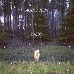 Brand New – Daisy LP