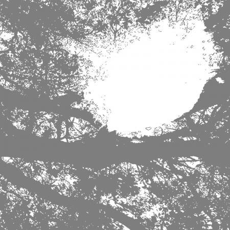 Comets On Fire -- Field Recordings From The Sun LP