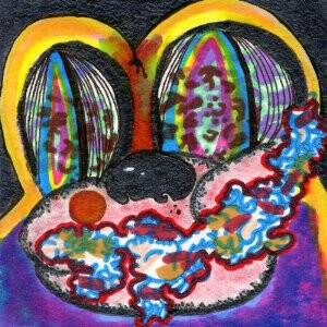 Cage the Elephant ‎– Thank You Happy Birthday LP