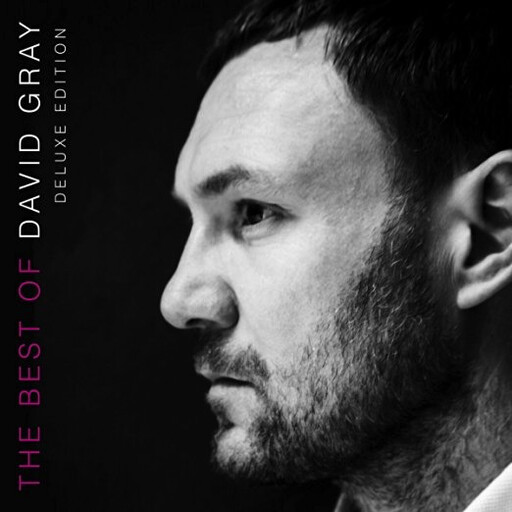 David Gray – The Best Of David Gray LP