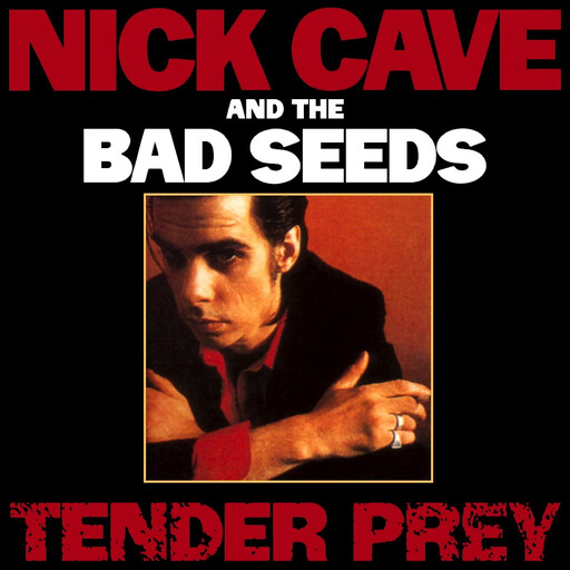 Nick Cave And The Bad Seeds -- Tender Prey LP