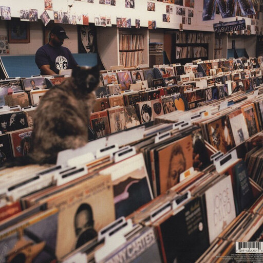 DJ Shadow ‎– Endtroducing..... LP