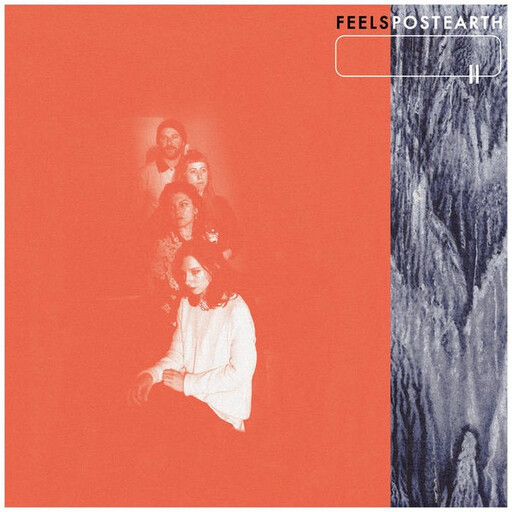 Feels ‎– Post Earth LP*