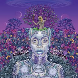 Erykah Badu ‎– New Amerykah Part Two: Return of the Ankh LP purple vinyl
