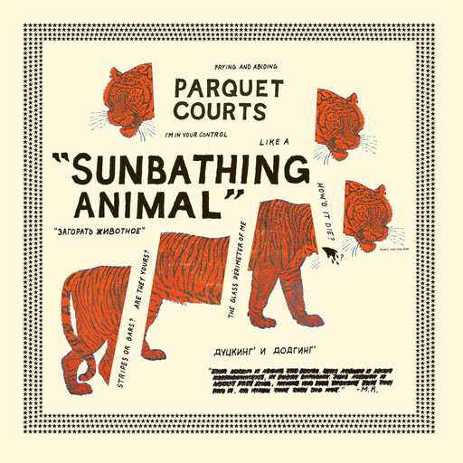 Parquet Courts – Sunbathing Animal LP