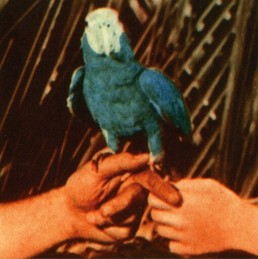 Andrew Bird ‎– Are You Serious LP