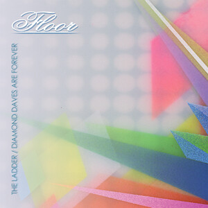 Floor ‎– Homegoings And Transitions / Shadowline 12&quot; vinyl single