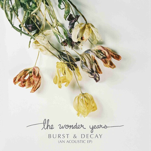 Wonder Years ‎– Burst and Decay (Volume II) EP 12&quot; white vinyl