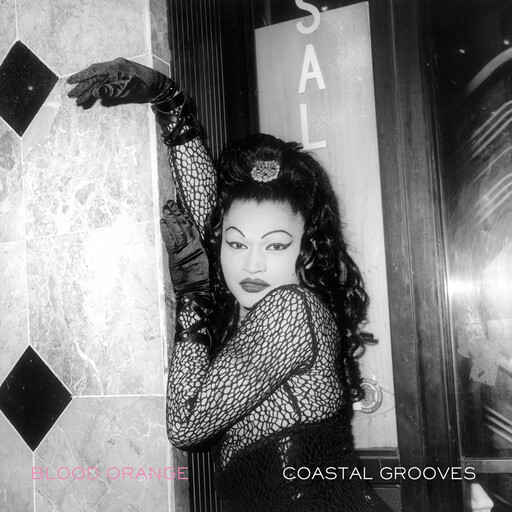 Blood Orange ‎– Coastal Grooves LP