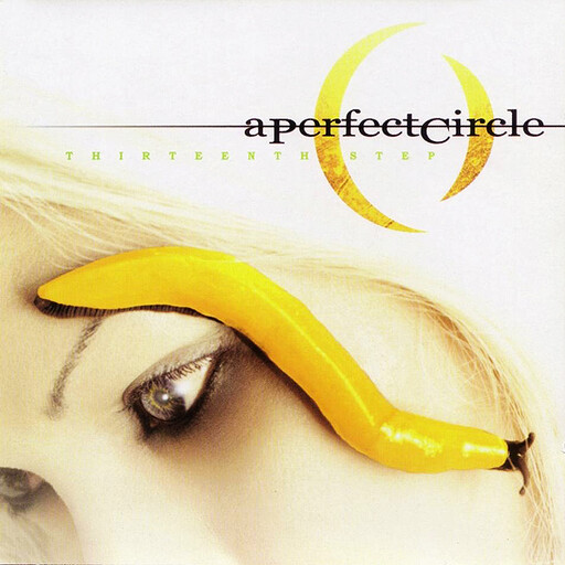 A Perfect Circle – Thirteenth Step LP