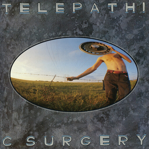 Flaming Lips - Telepathic Surgery  LP