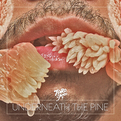 Toro Y Moi ‎– Underneath The Pine LP