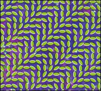 Animal Collective – Merriweather Post Pavilion LP