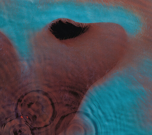 Pink Floyd – Meddle LP