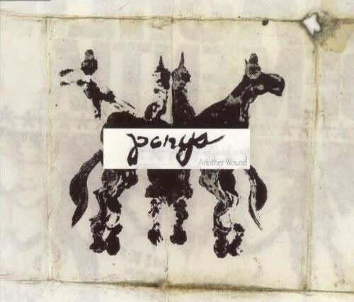 Ponys – Another Wound CD