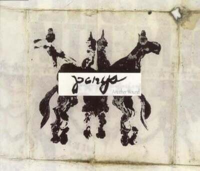 Ponys – Another Wound CD