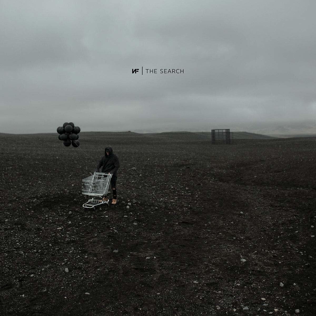 NF ‎– The Search LP