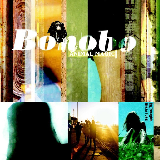 Bonobo – Animal Magic LP