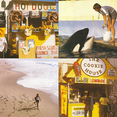 Best Coast – Something In The Way 7"