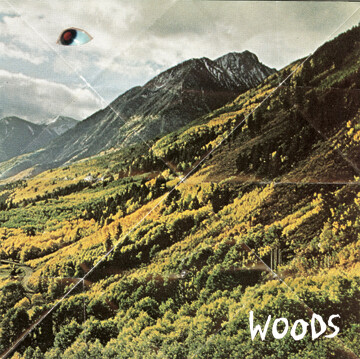 Woods – Songs Of Shame LP