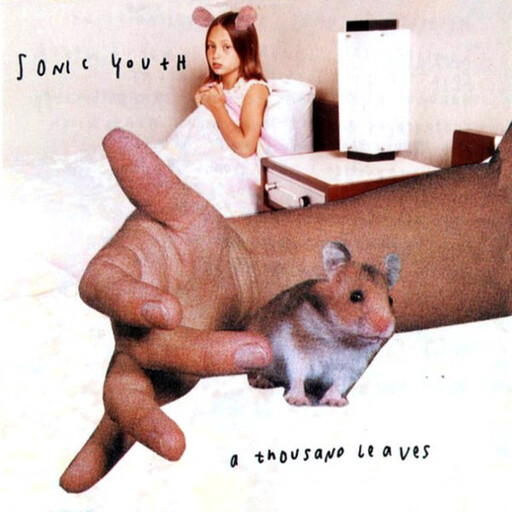 Sonic Youth ‎– A Thousand Leaves LP