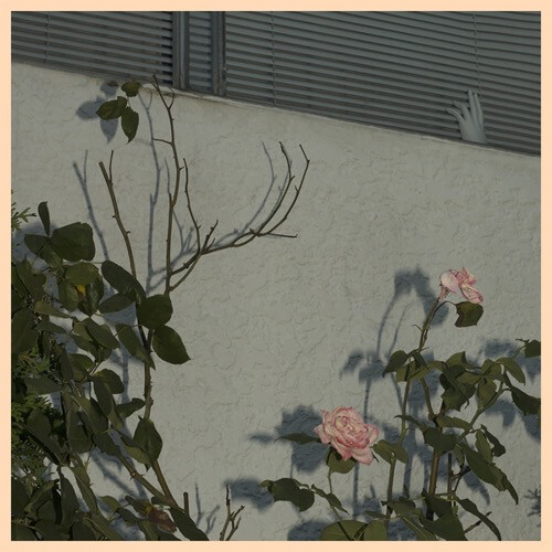Soft Kill ‎– Savior LP random color*