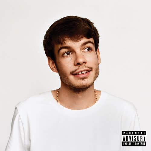 Rex Orange County ‎– Pony LP