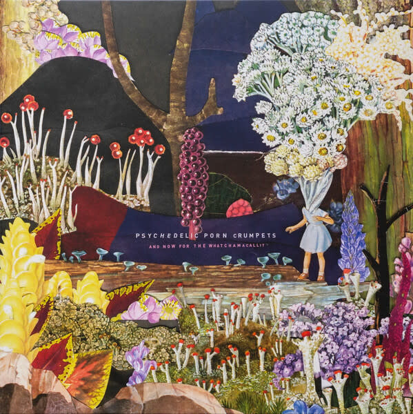 Psychedelic Porn Crumpets ‎– And Now For The Whatchamacallit LP 180 gram