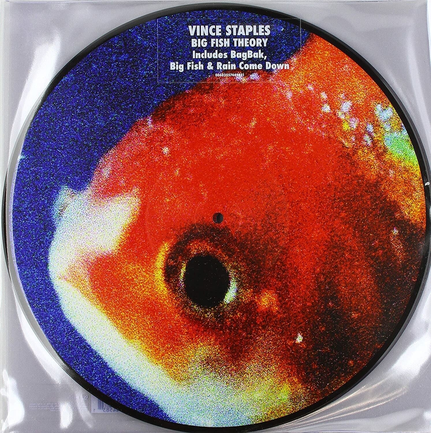 Vince Staples ‎– Big Fish Theory LP picture disc