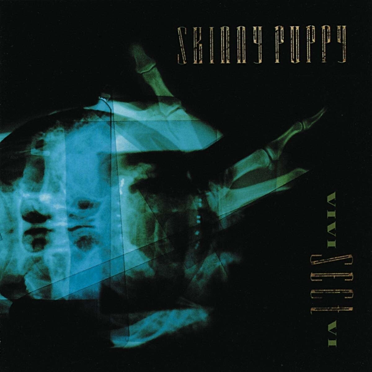 Skinny Puppy ‎– VIVIsectVI LP