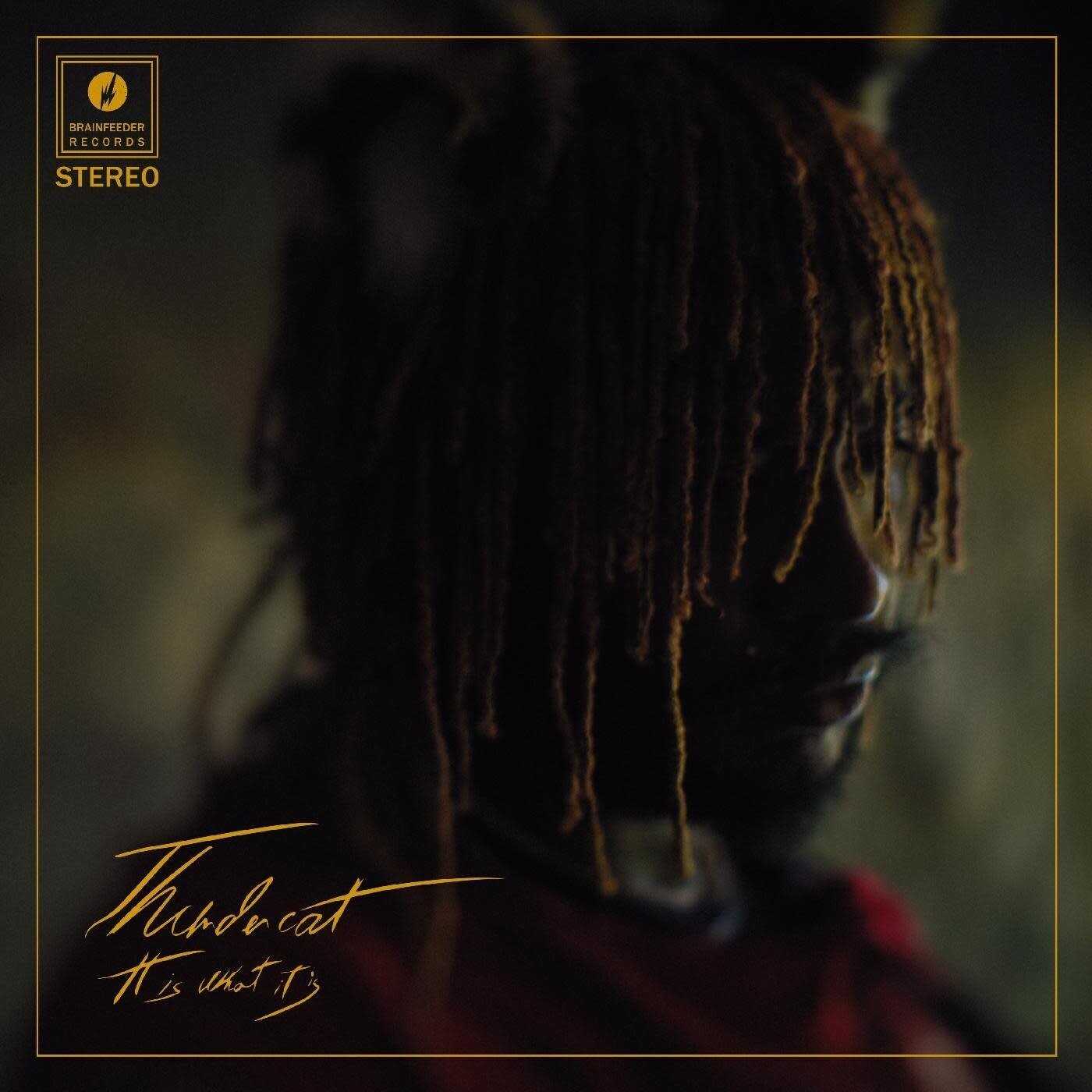 Thundercat - It Is What It Is LP picture disc