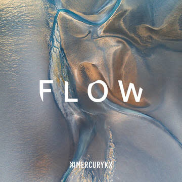 Various ‎– Flow LP clear*