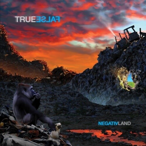 Negativeland – True False LP