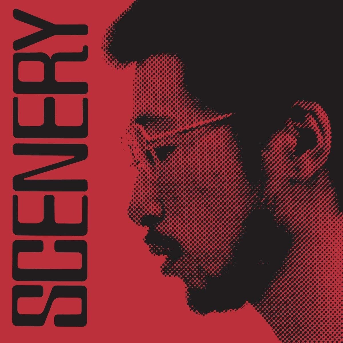 Ryo Fukui ‎– Scenery LP