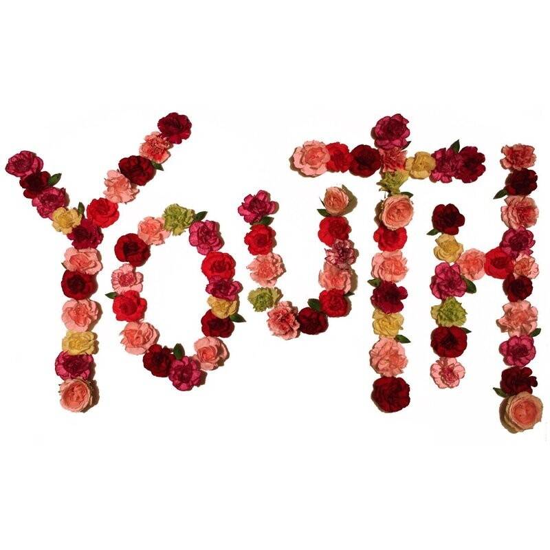 Citizen – Youth LP red vinyl