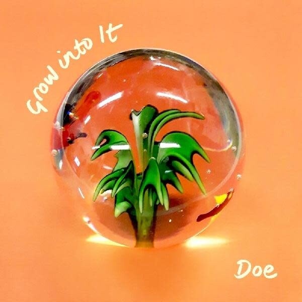 Doe – Grow Into It LP half red/half clear vinyl