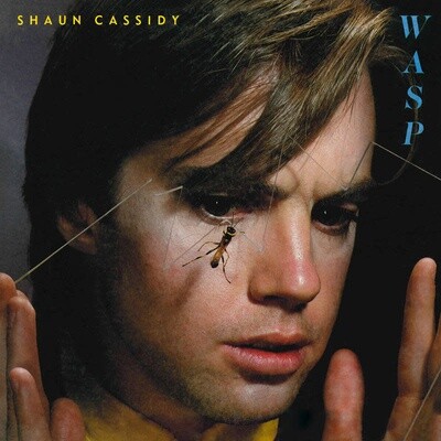 Shaun Cassidy – Wasp LP opaque yellow*