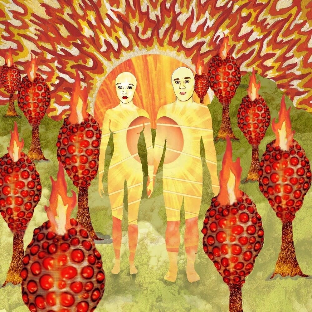 of Montreal ‎– The Sunlandic Twins LP red/orange swirl vinyl