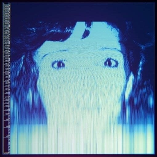 Avalanches ‎– We Will Always Love You LP