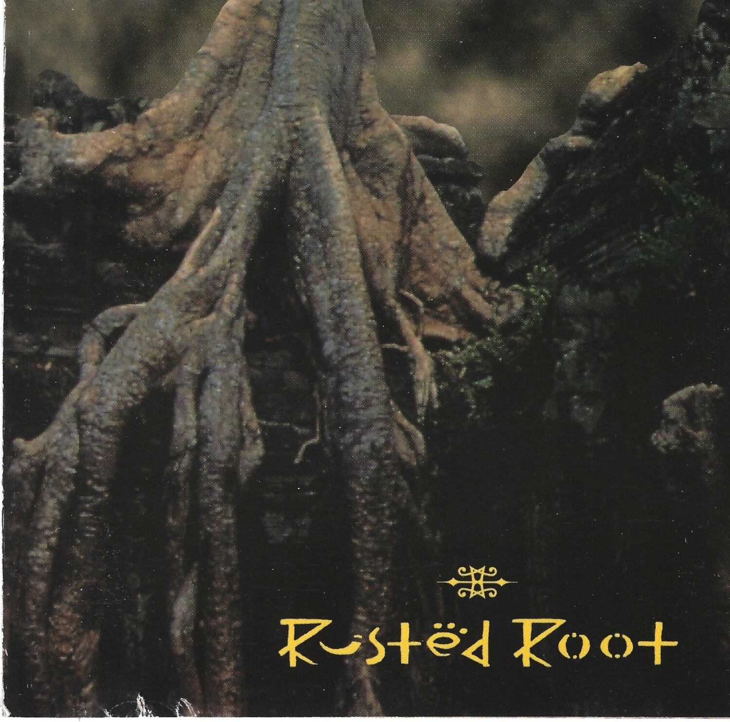 Rusted Root - Creative Love - Live 12/11/94 Hungry Charlie&#39;s Syracuse, NY CD used VG